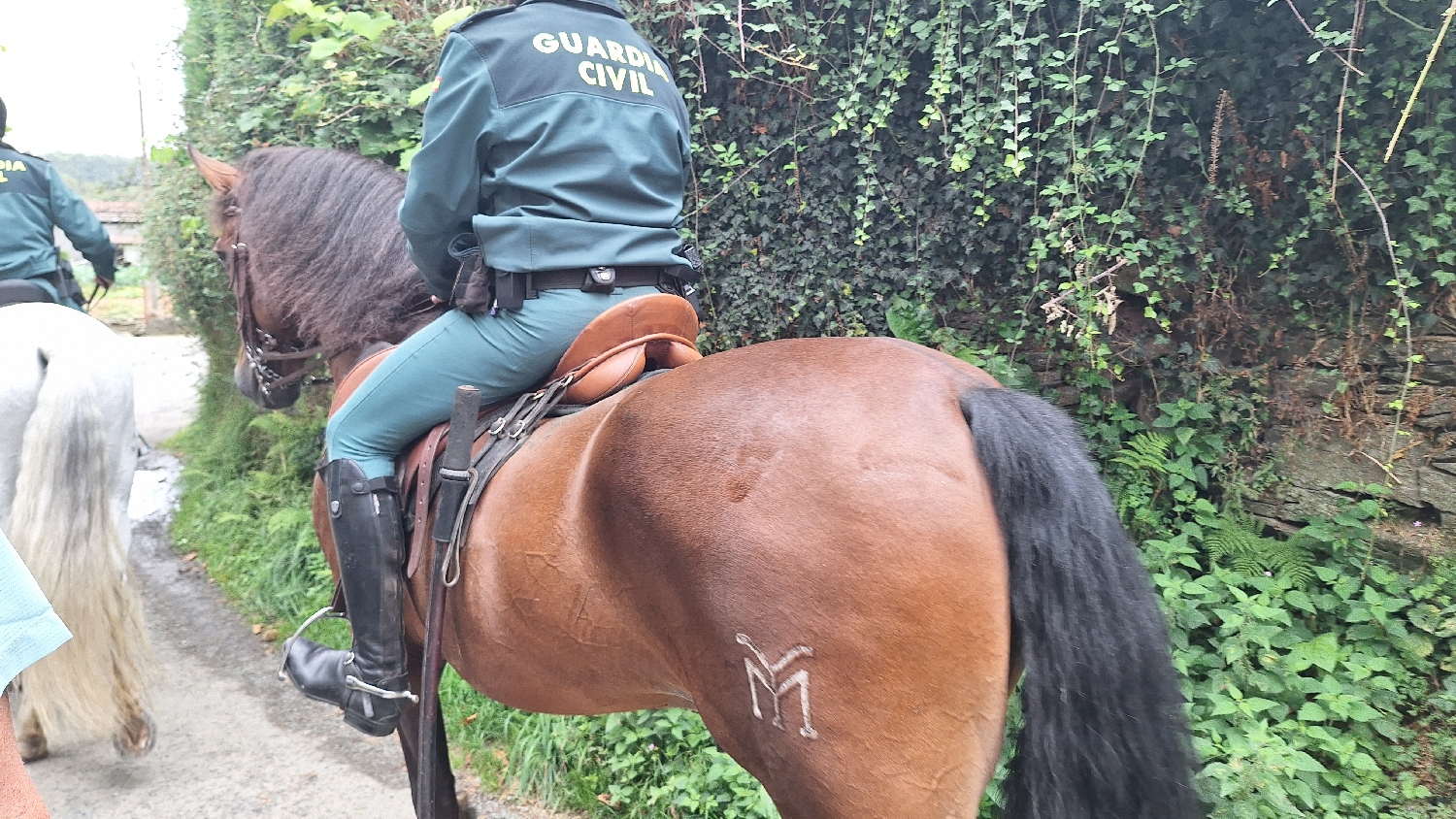 Camino Norte / Camino Francés, a Guardia Civil lovasrendőre