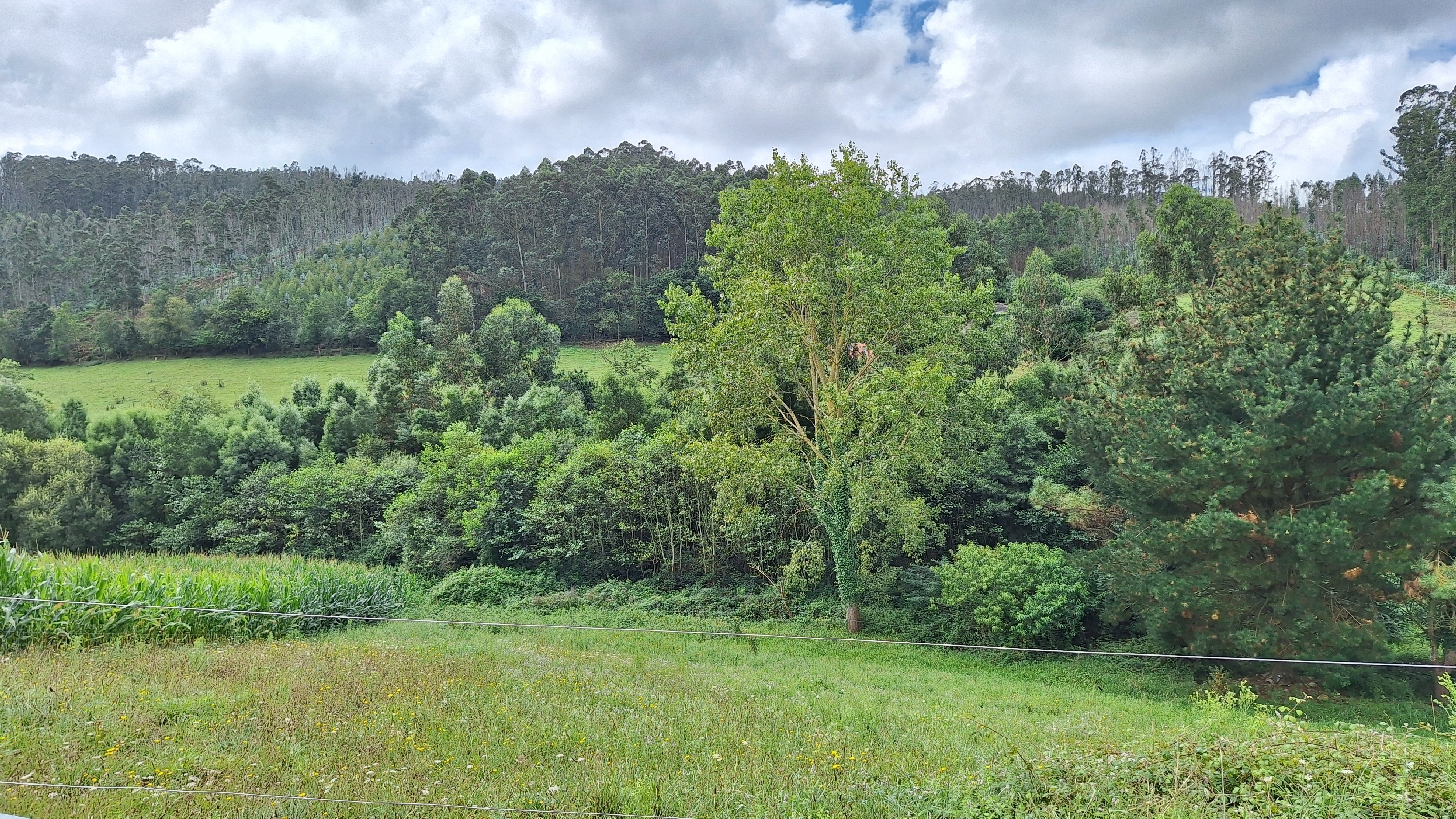 Camino del Norte, szép tájakon haladtunk