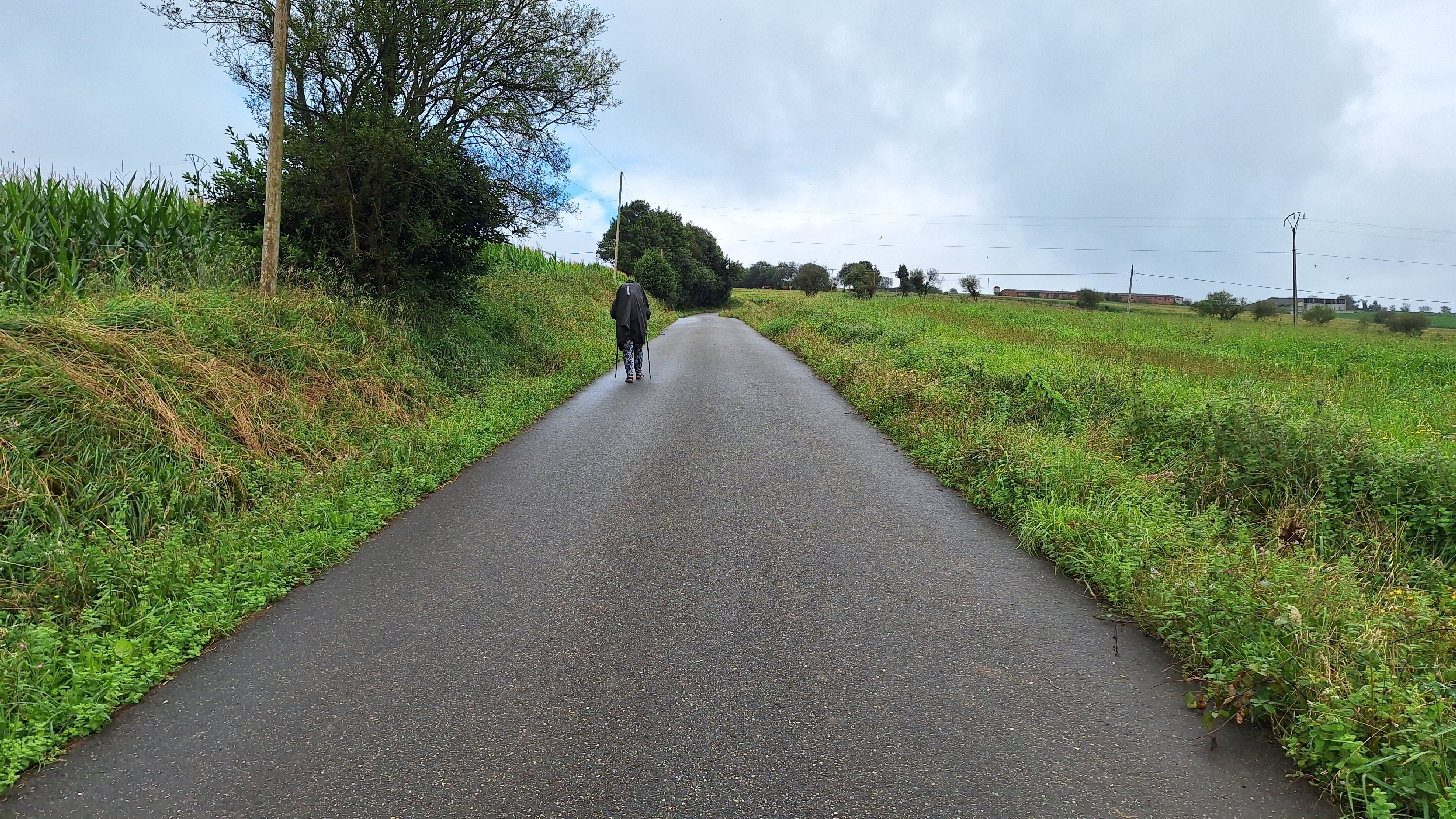Camino del Norte, szép tájakon haladtunk, immár megint esőben