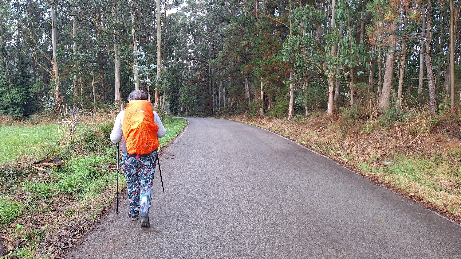 Camino del Norte, gyaloglás erdei aszfaltúton