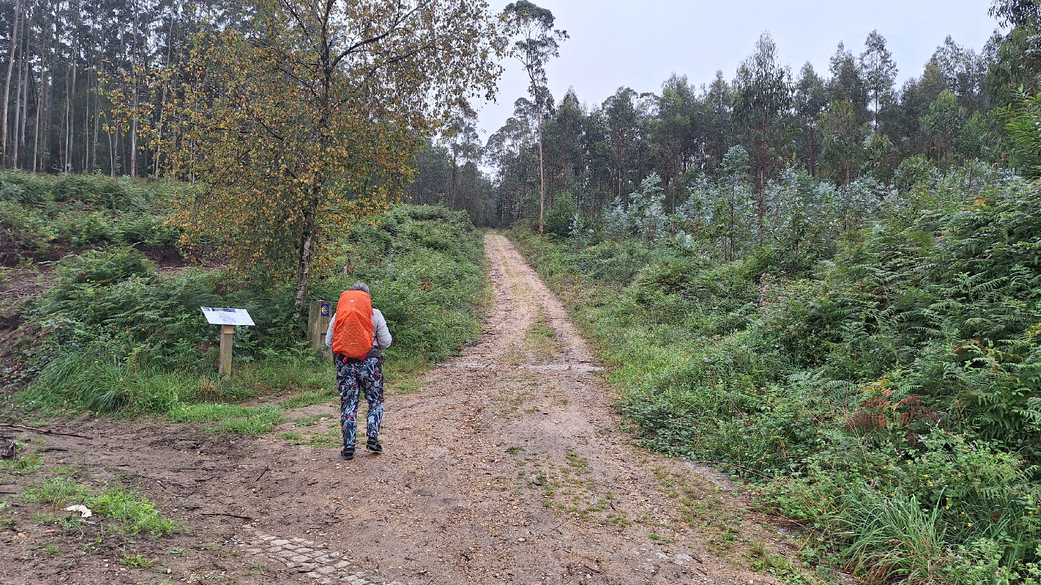Camino del Norte, végre földút