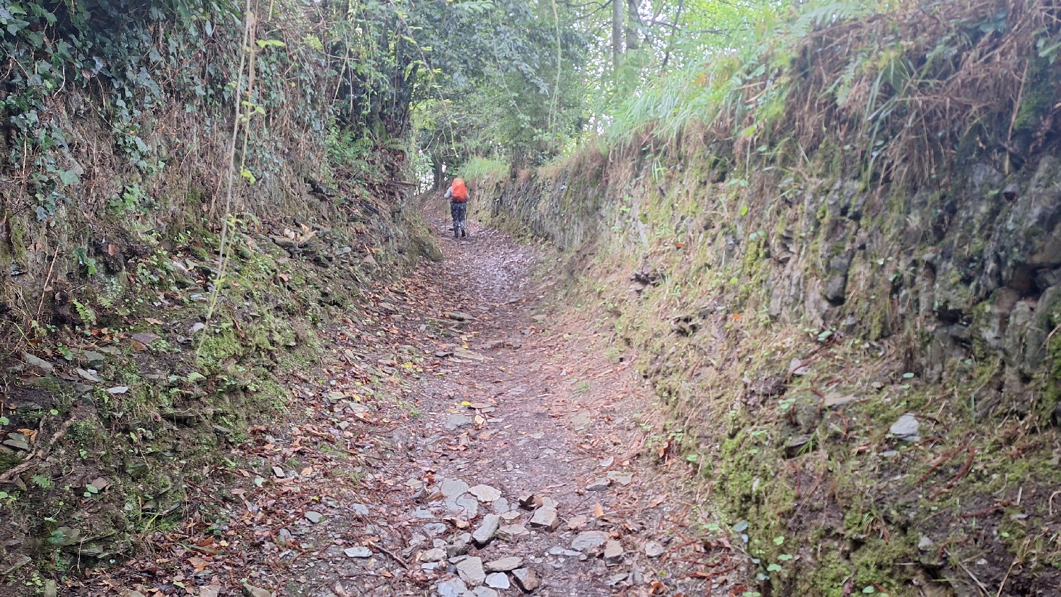 Camino del Norte, a tipikus galiciai mélyút