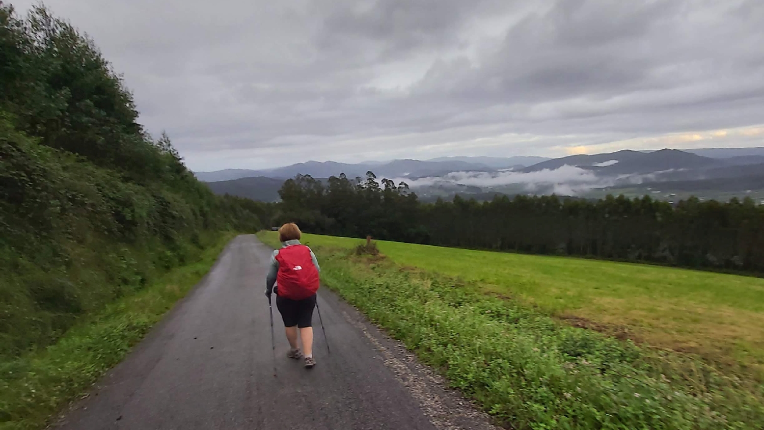 Camino del Norte, gyaloglás az aszfaltúton