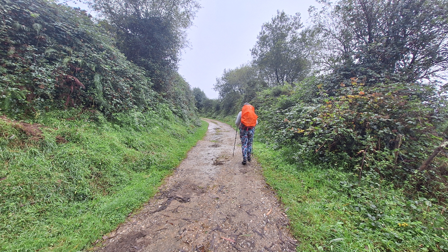 Camino del Norte, erdei út