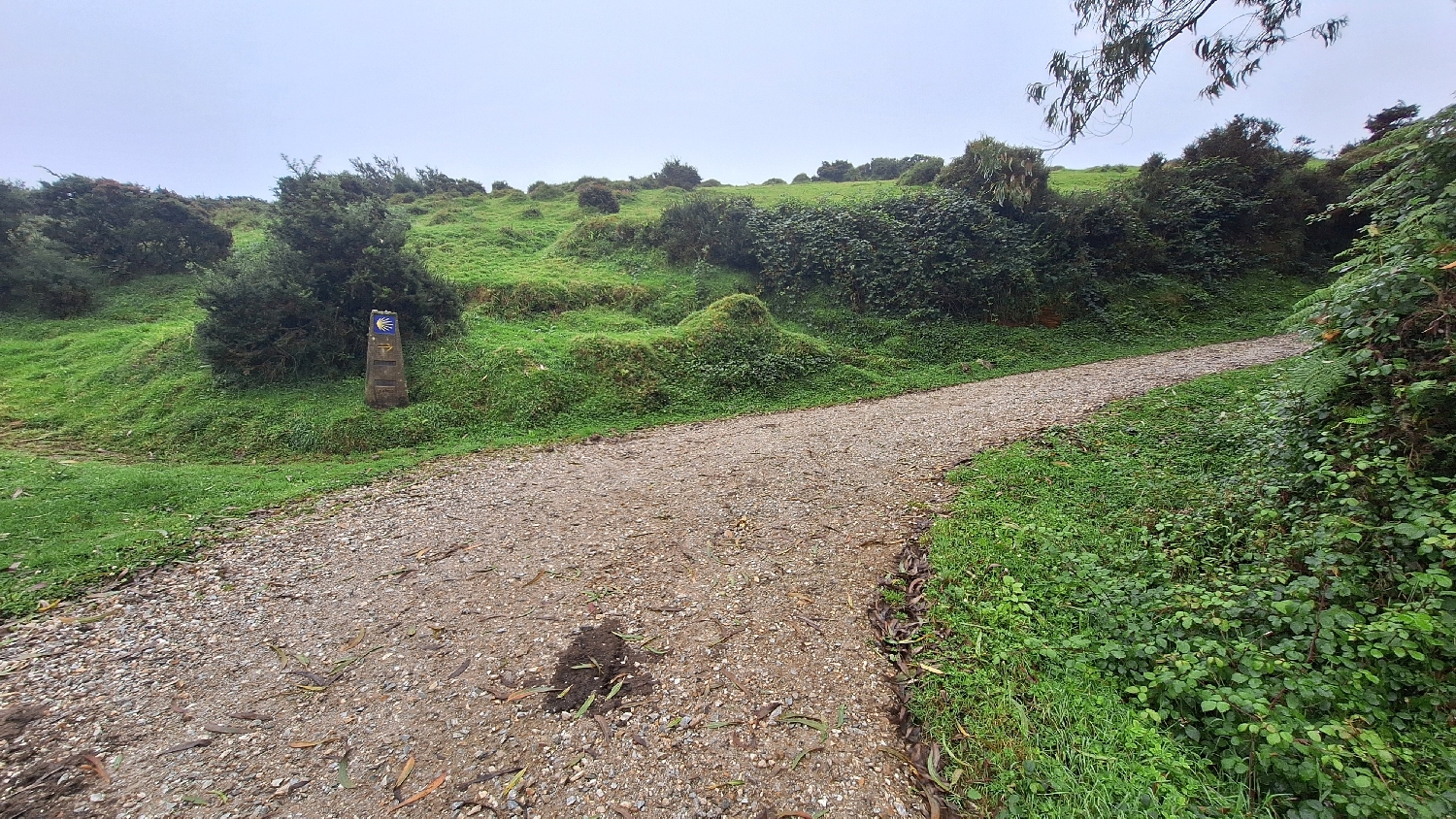 Camino del Norte, még mindig felfelé vezet az út