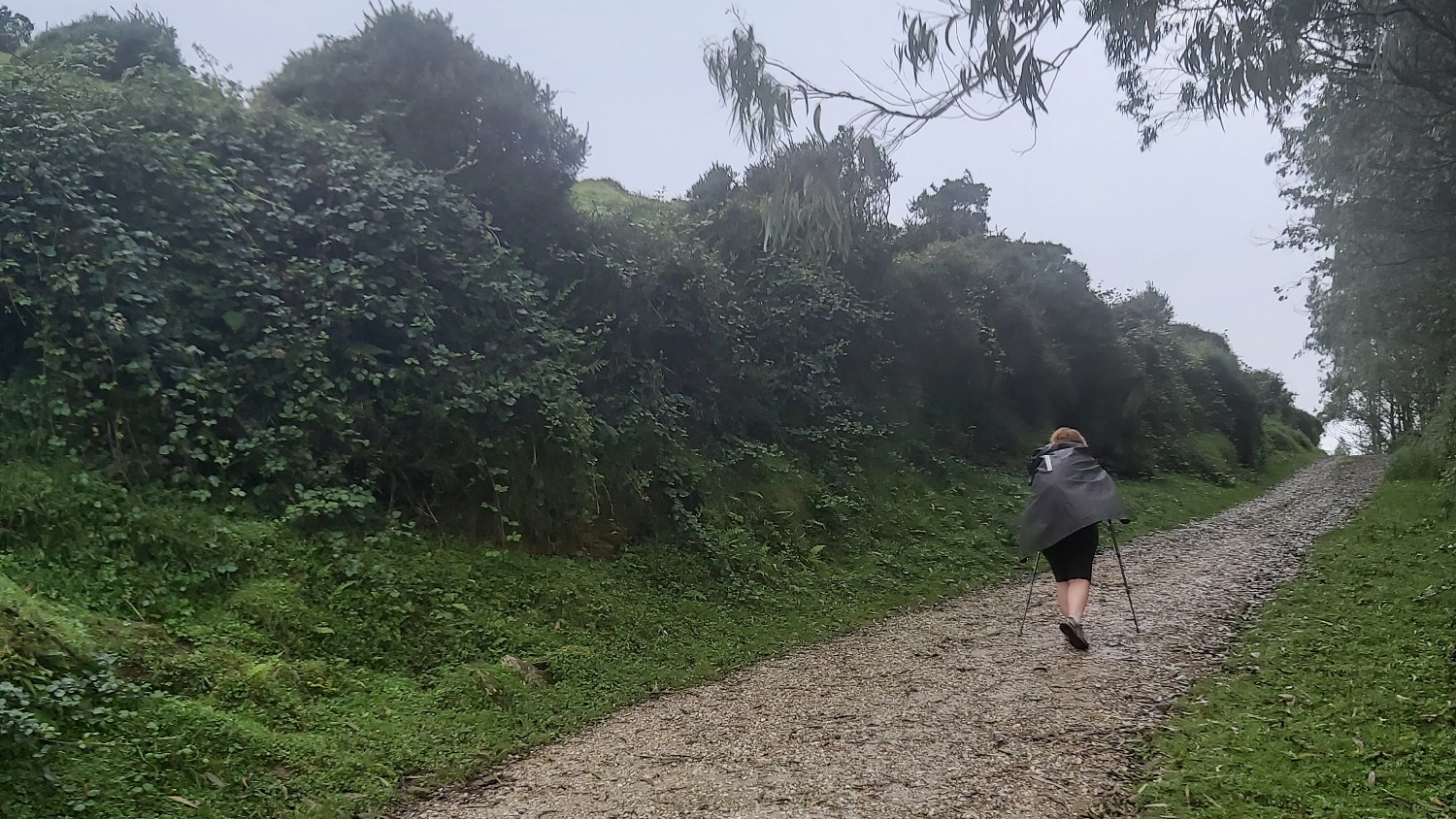 Camino del Norte, fúj a szél és hideg van