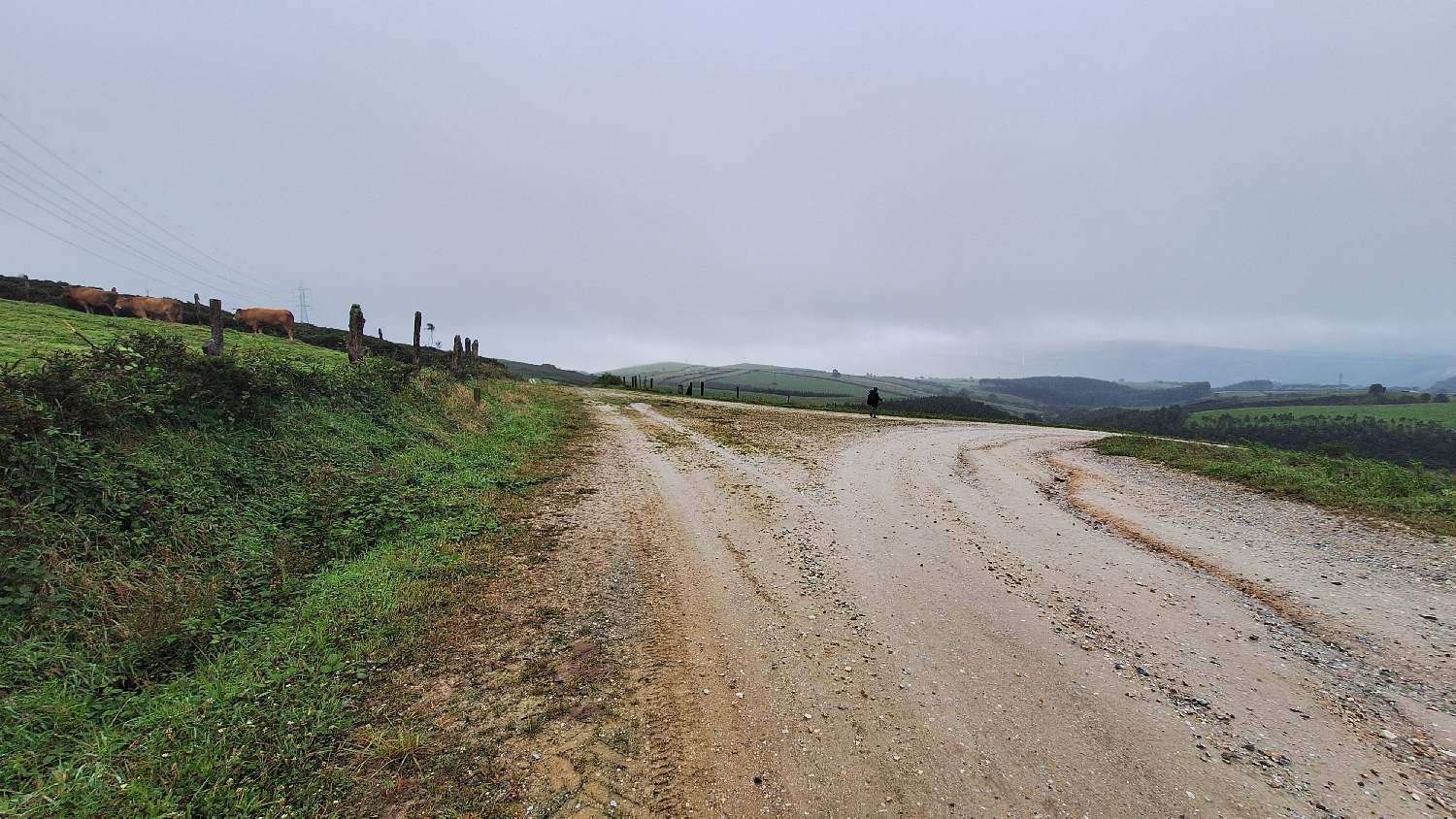 Camino del Norte, széles földúton megyünk tovább