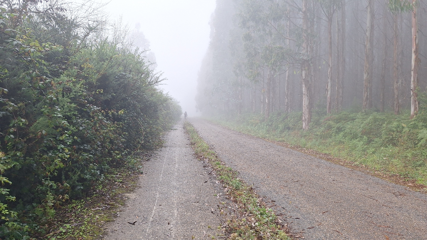 Camino del Norte, ködös út