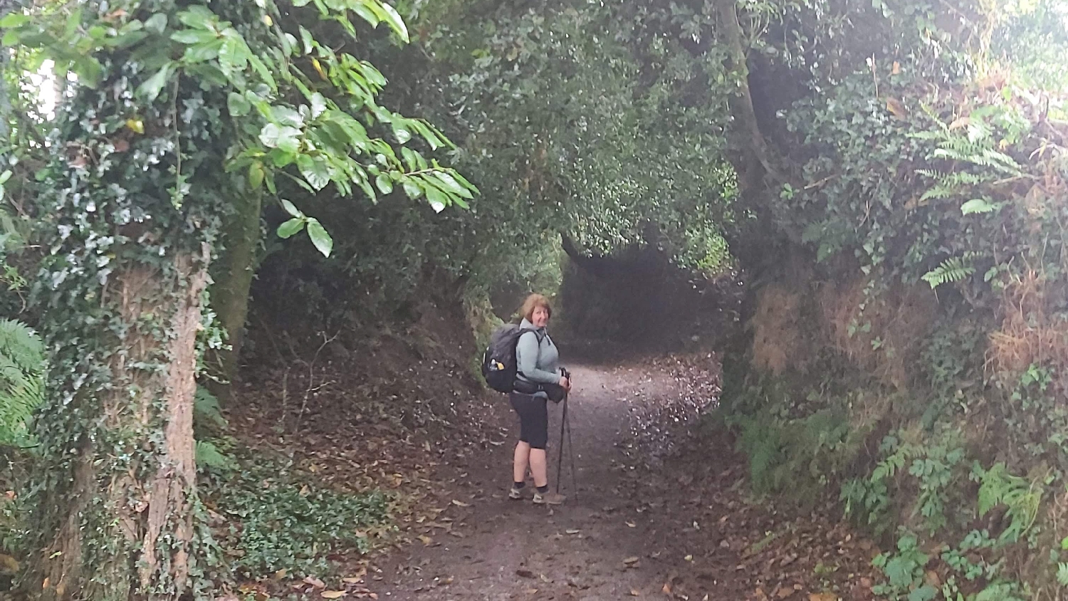 Camino del Norte, erdei út