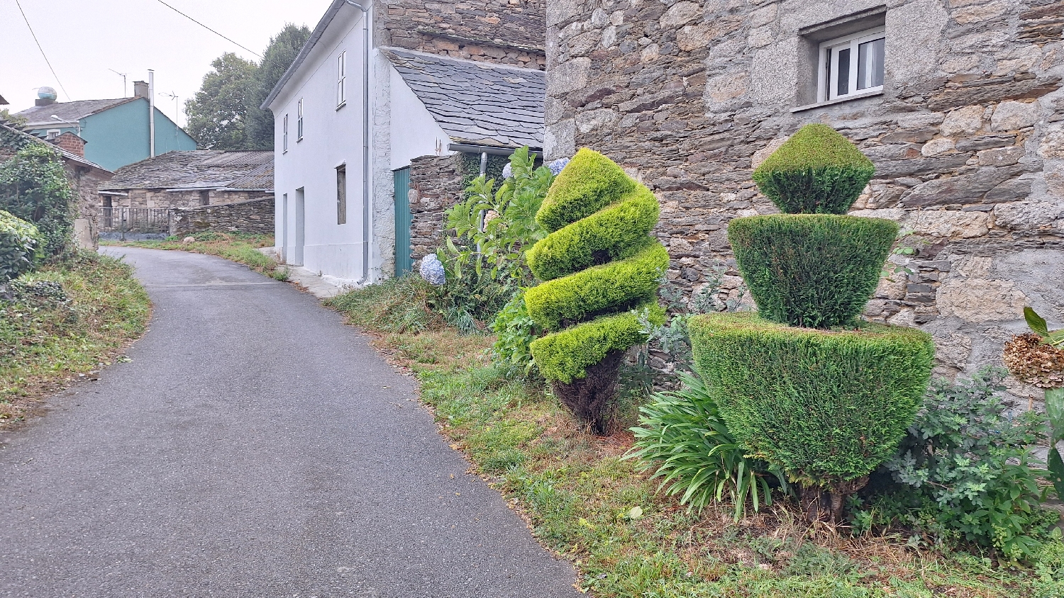 Camino del Norte, formára nyírt sövény szobrok
