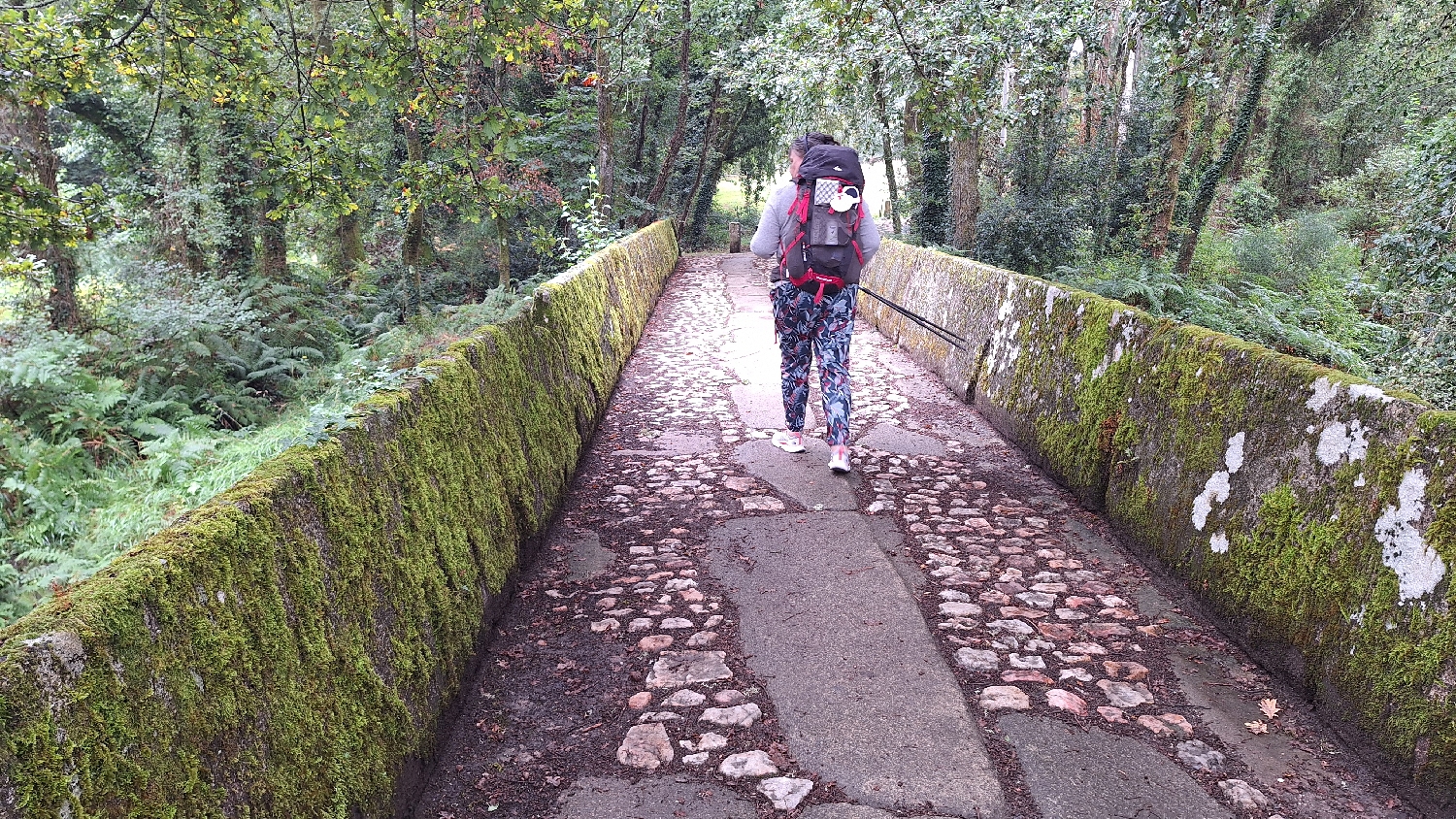 Camino del Norte, kőhíd