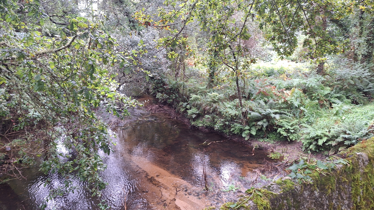 Camino del Norte, folyó