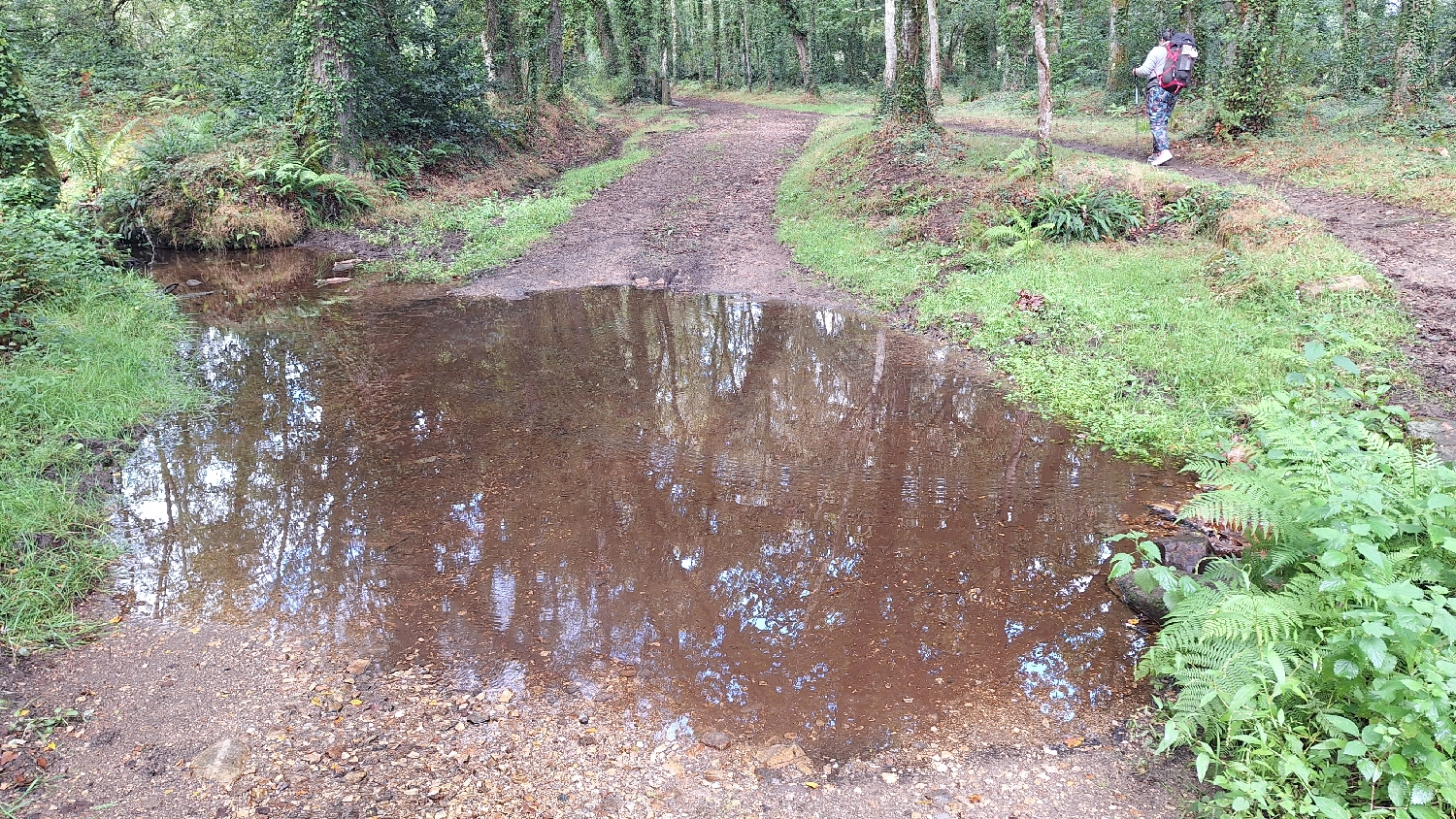 Camino del Norte, pocsolya