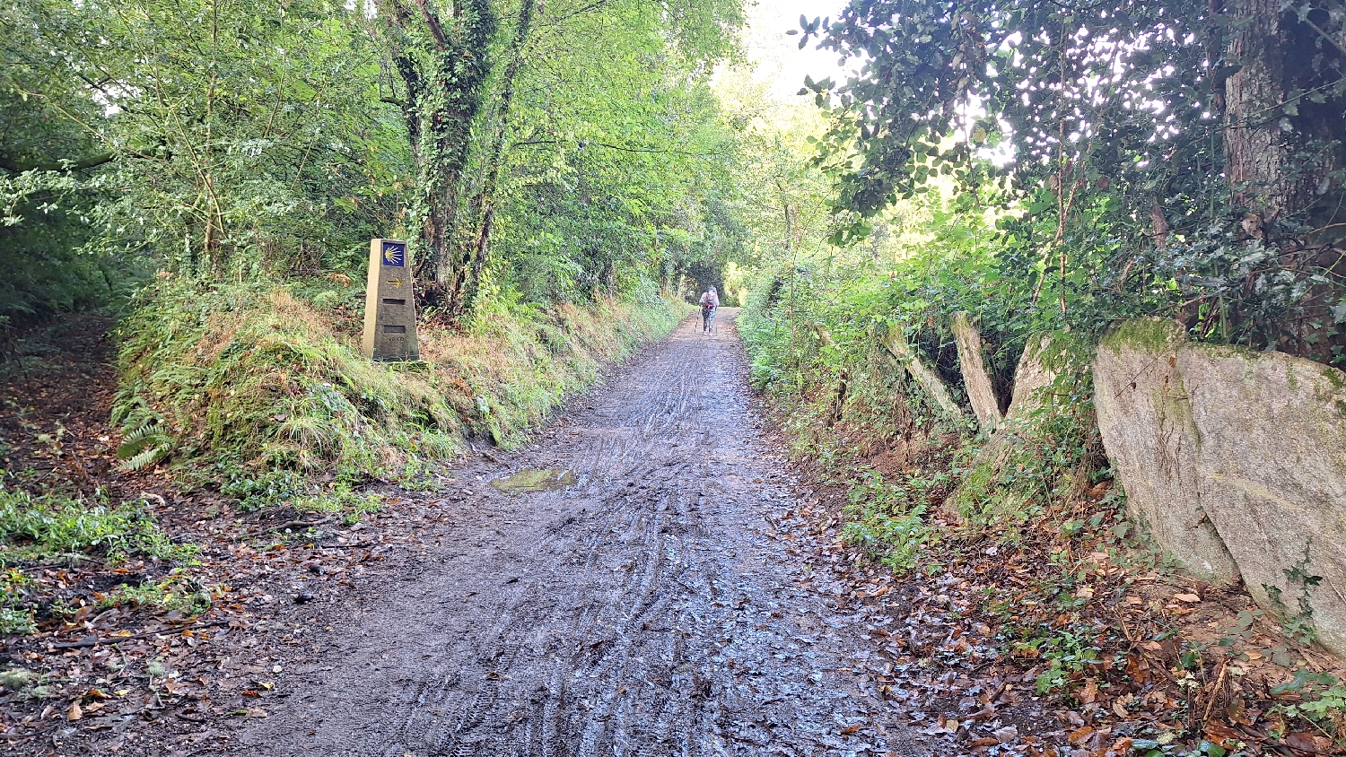 Camino del Norte, sáros út