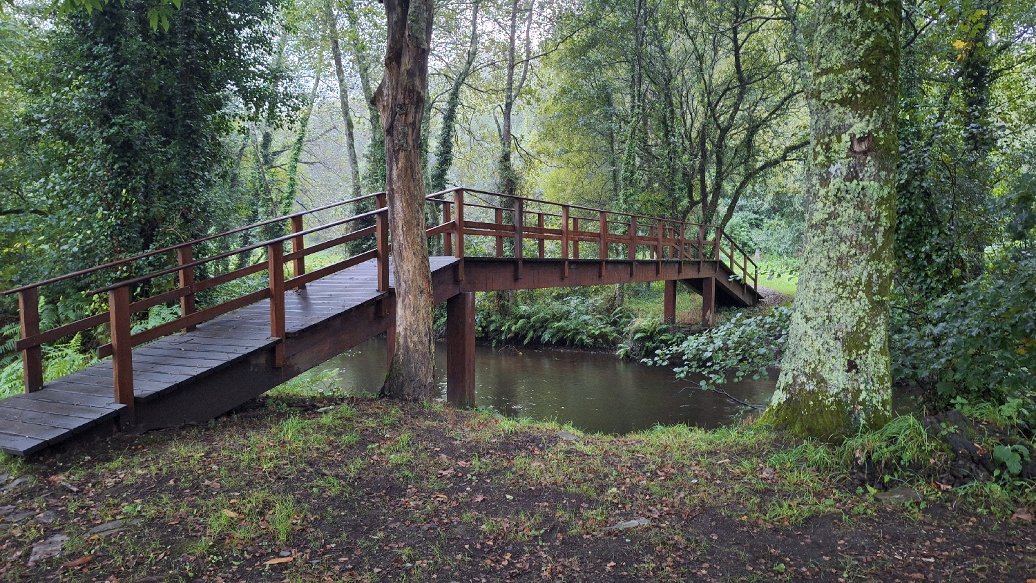 Camino del Norte, egy fahídon is átkeltünk