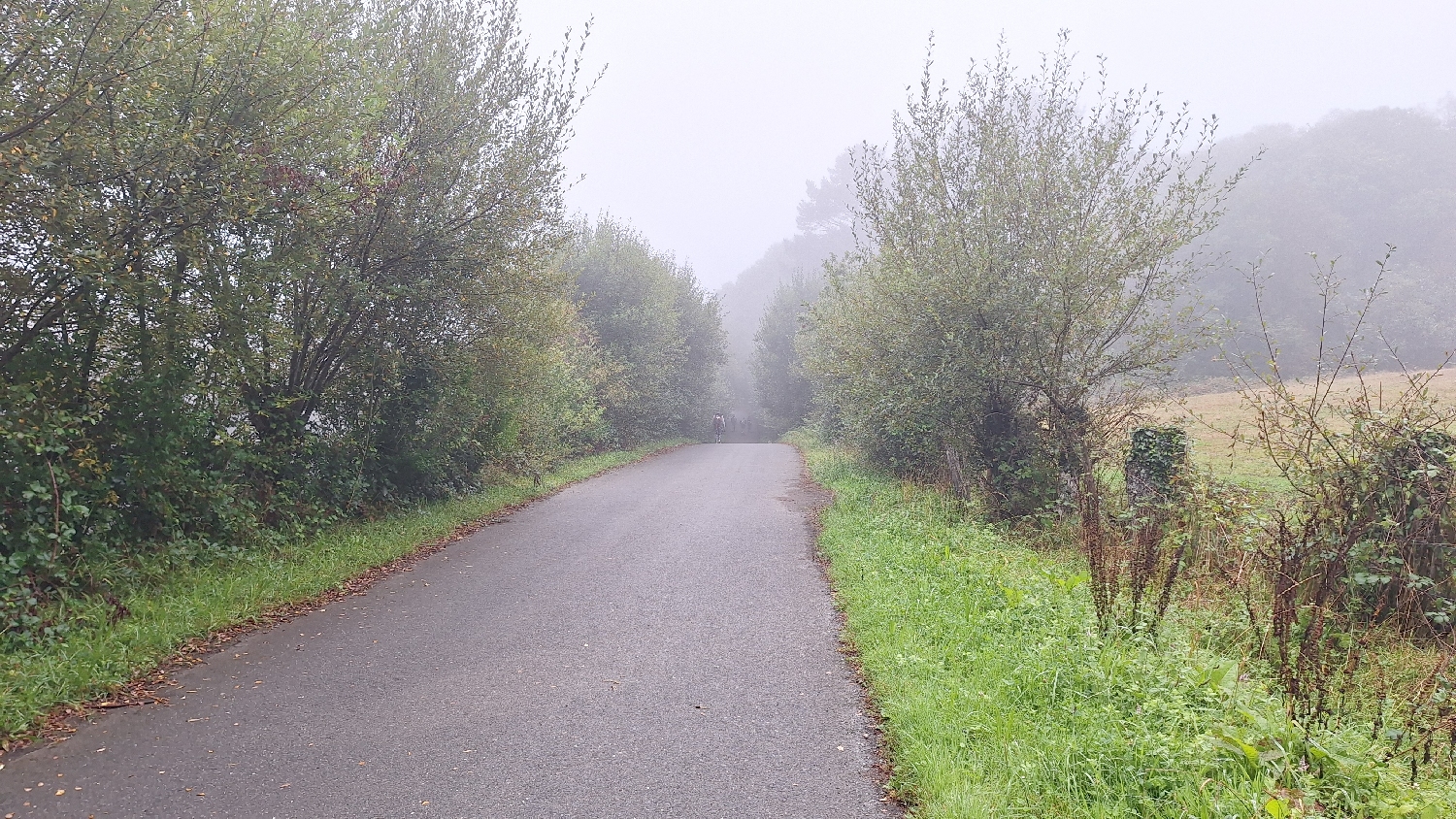 Camino del Norte, ködös út