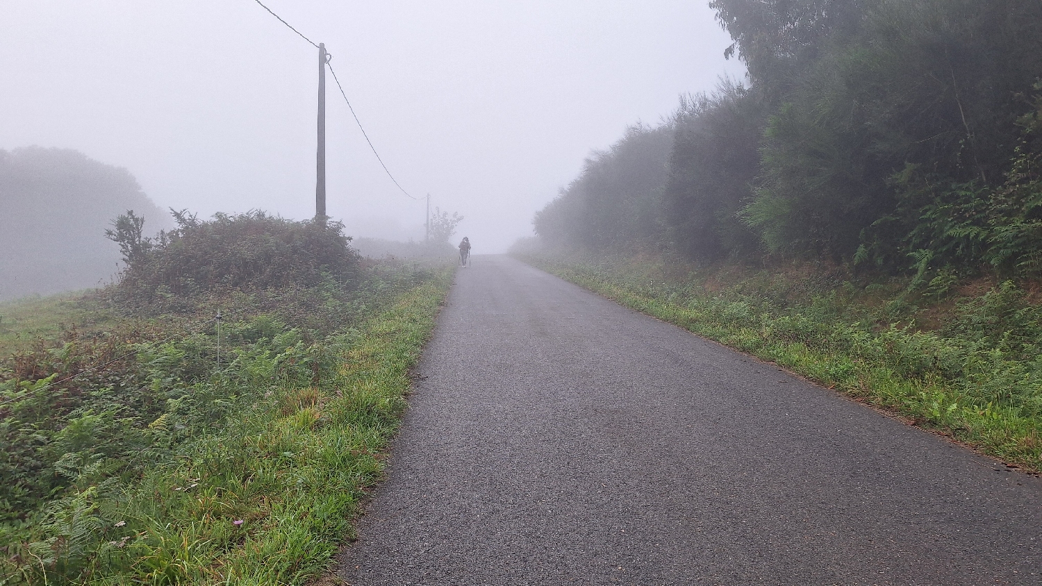 Camino del Norte, ködös út