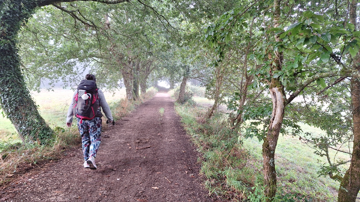 Camino del Norte, gyaloglás a misztikus ködben