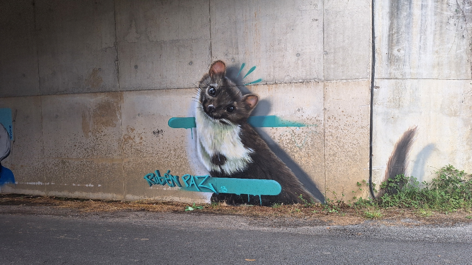 Camino del Norte, aluljáró graffitivel