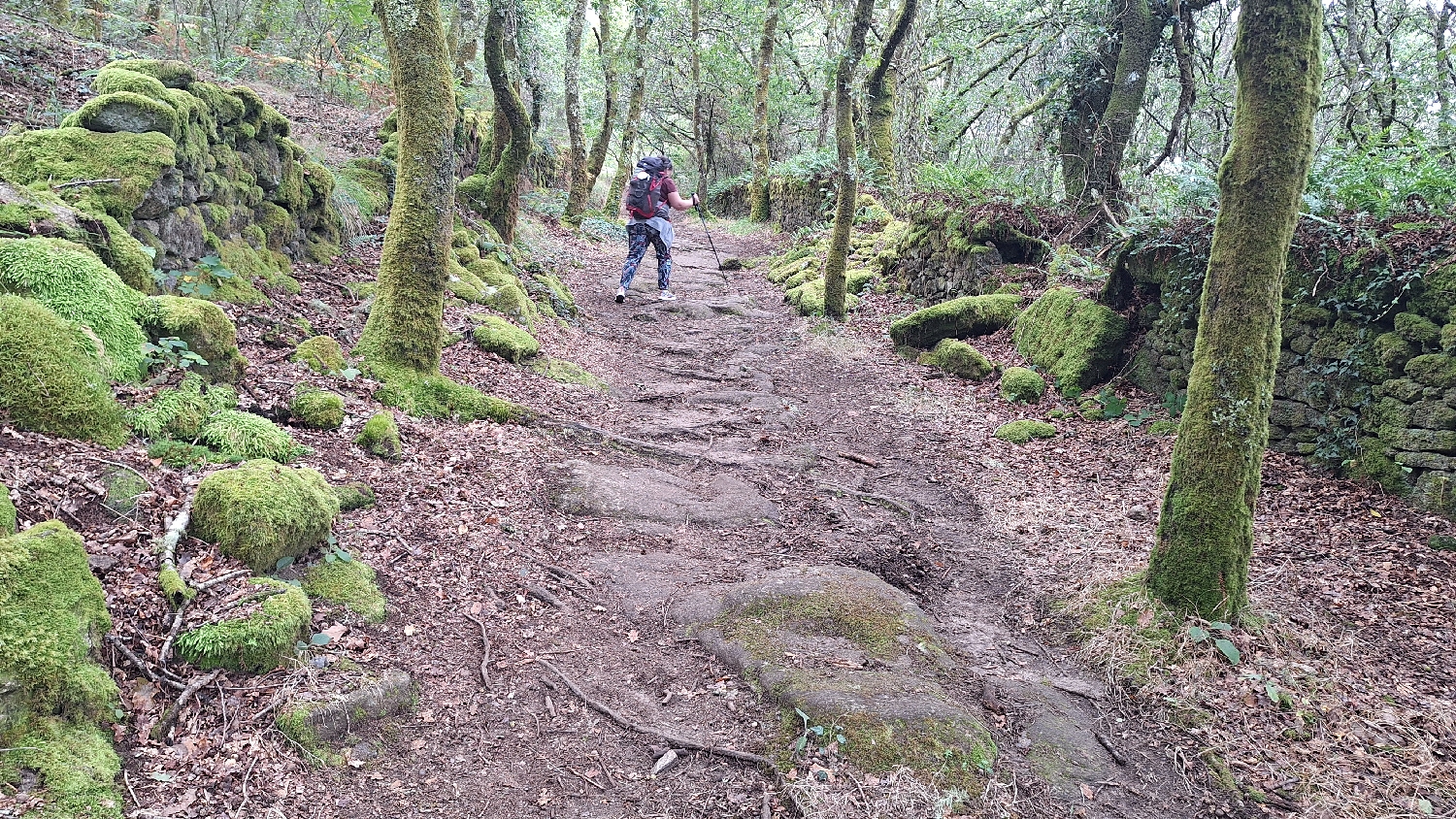 Camino del Norte, felfelé szökkenünk a hegyen :-)