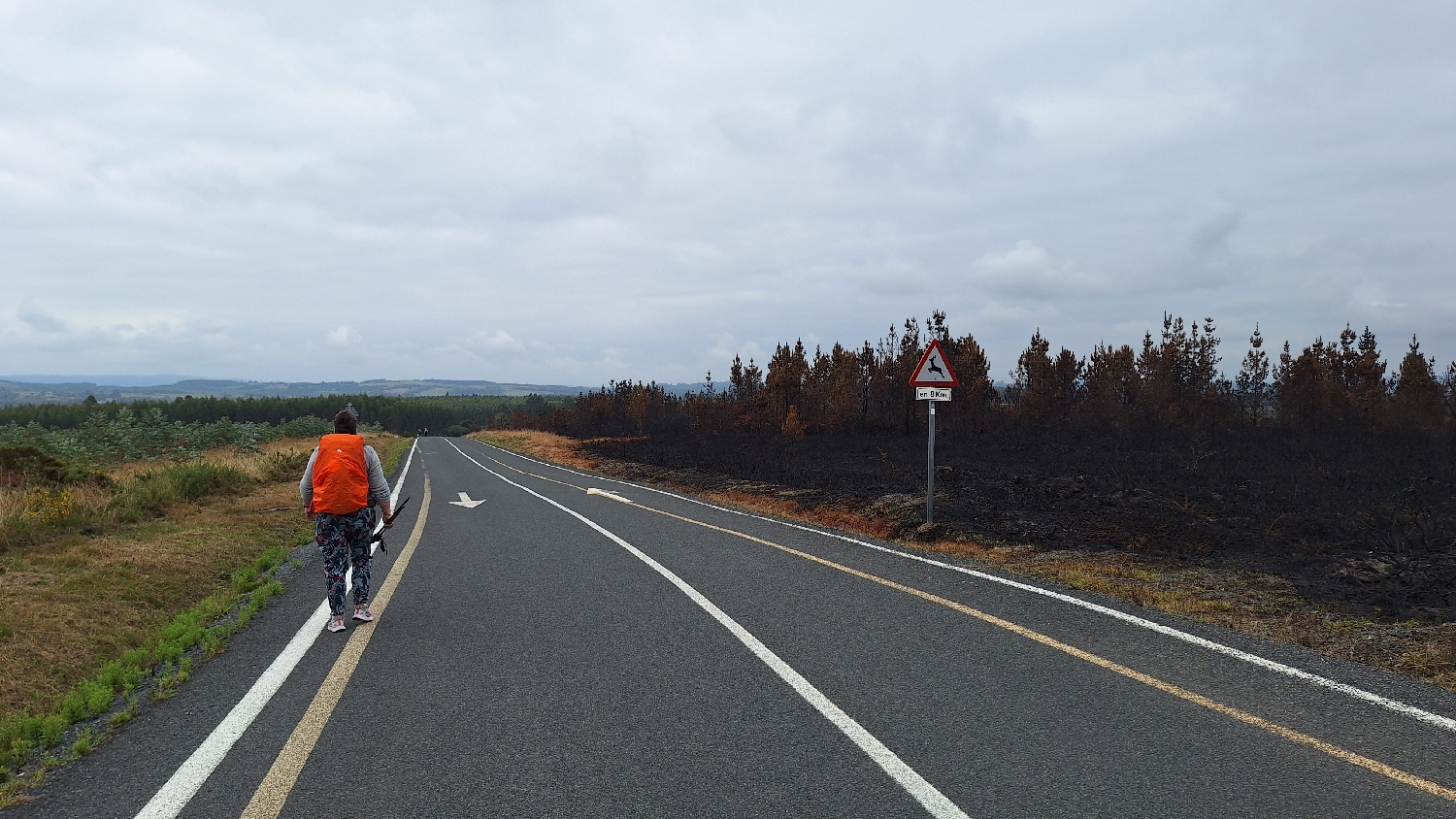 0_camino_del_norte_orszagut.jpg