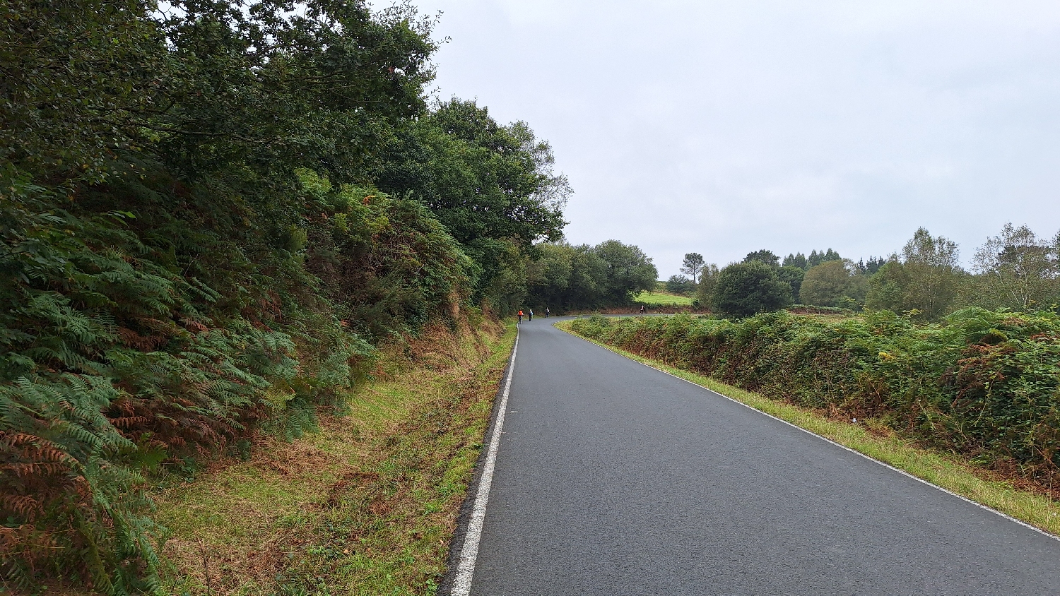 Camino del Norte, araszolunk felfelé az aszfaltúton