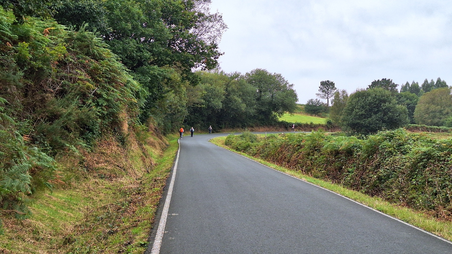 Camino del Norte, araszolunk felfelé az aszfaltúton