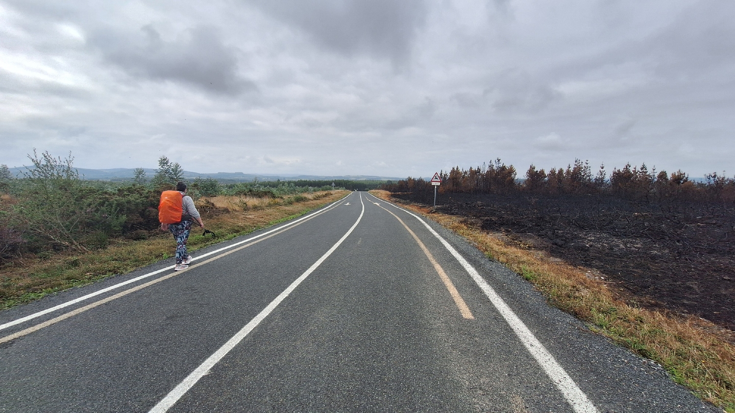 Camino del Norte, még mindig aszfalt és országút