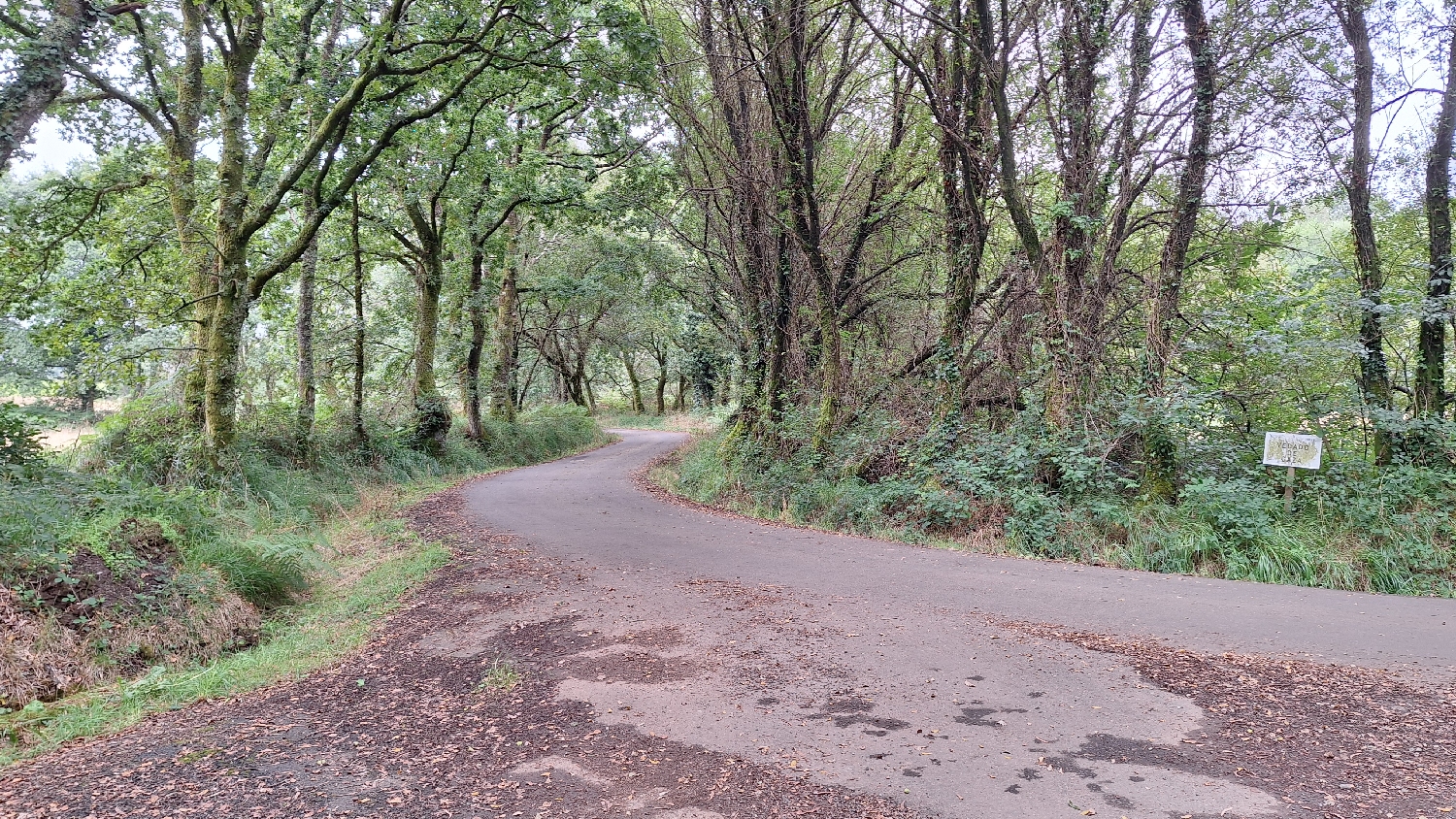 Camino del Norte, még mindig aszfaltút