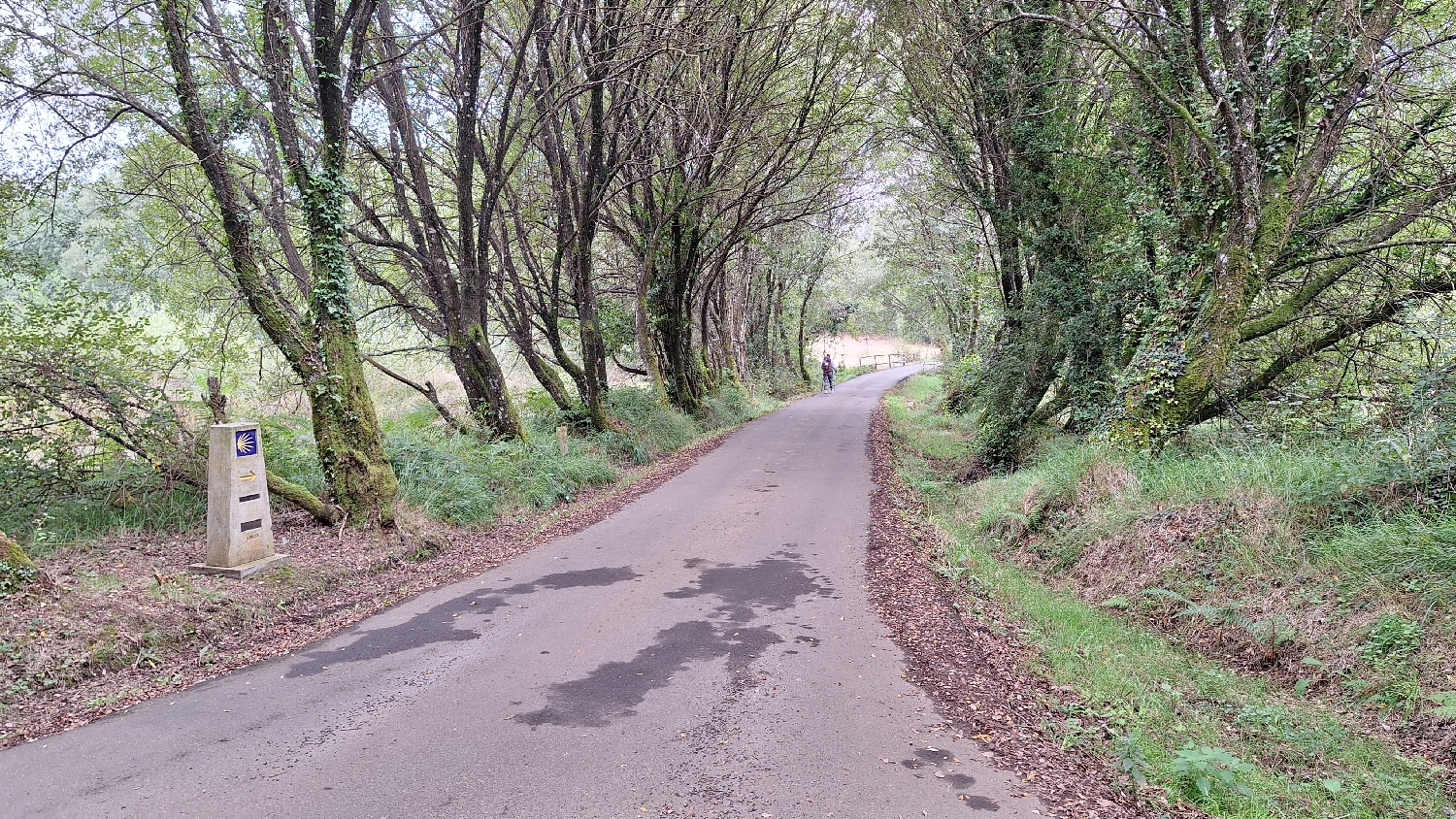 Camino del Norte, útelágazás