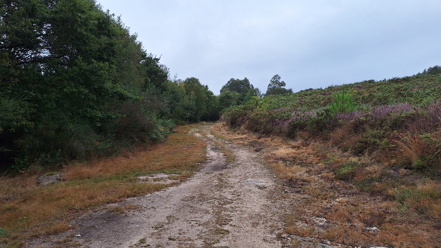 Camino del Norte, itt még puha földút simul a lábainkhoz