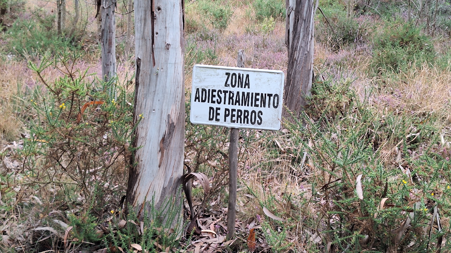 Camino del Norte, a kutyakiképző tábla