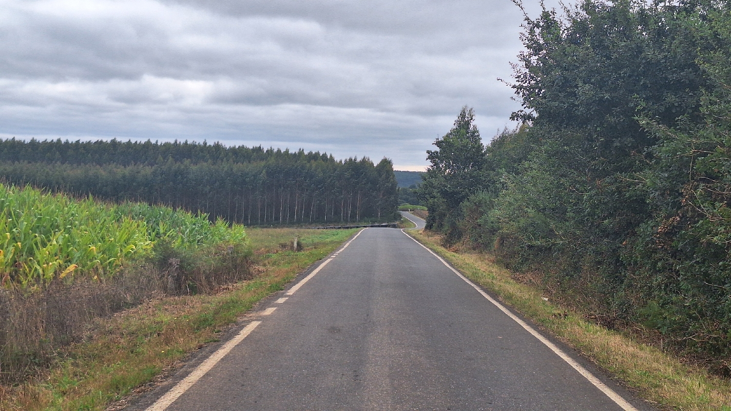 Camino del Norte, erdei út
