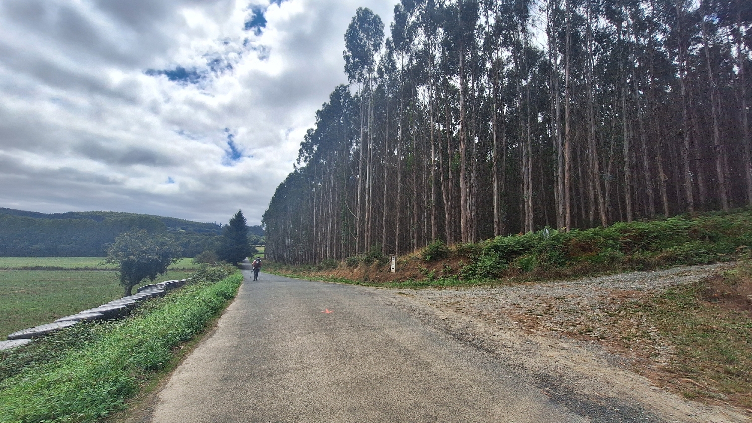 Camino del Norte, erdei út