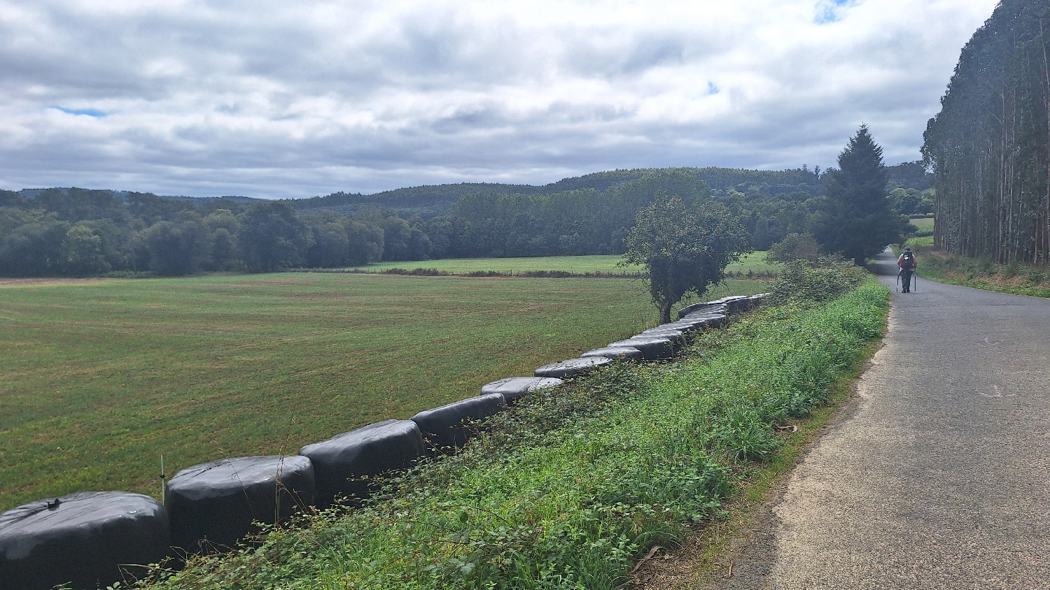 Camino del Norte, zöld legelő