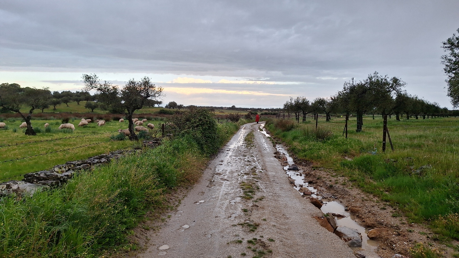 Vía de la Plata, sáros földút