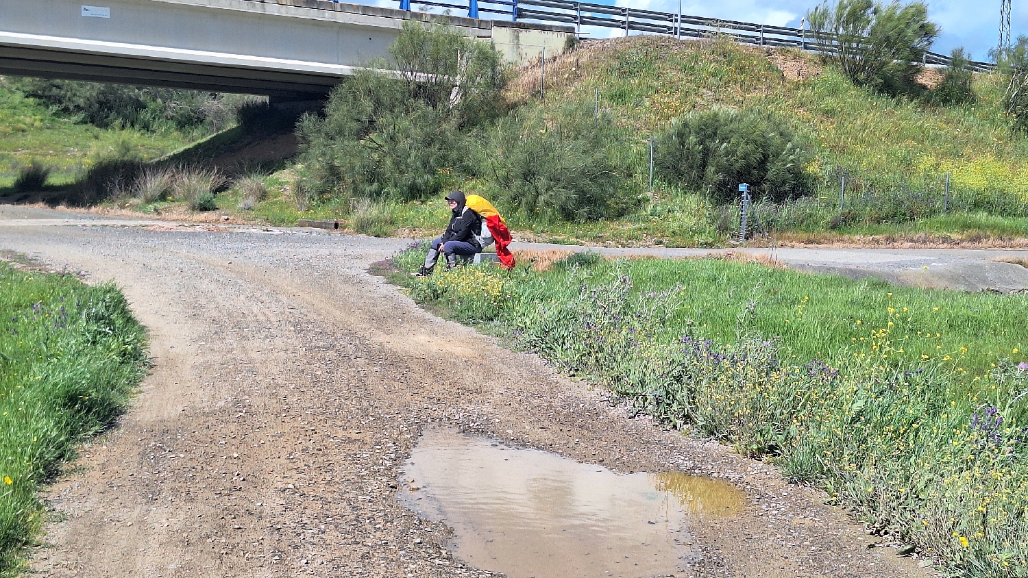 Vía de la Plata, széles gyalogút, az út végén Rózsa pihen