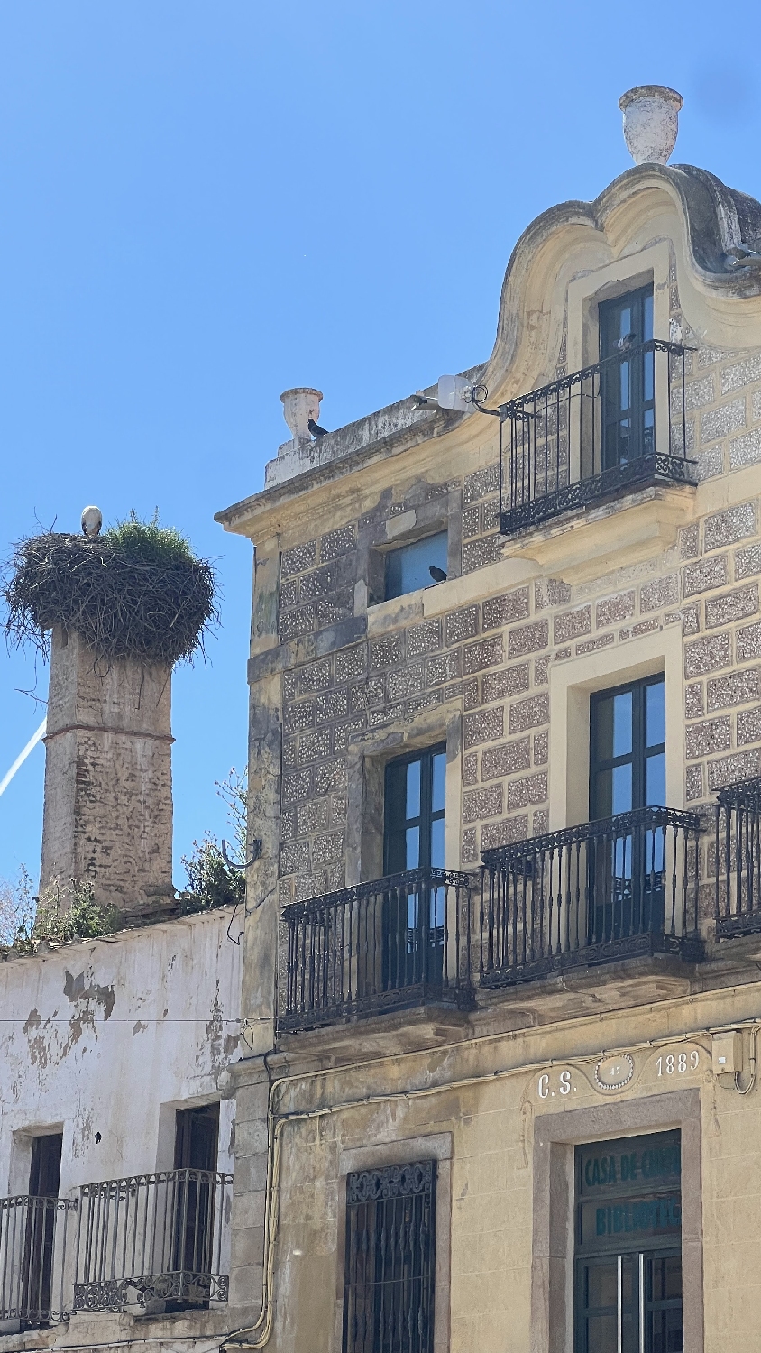 Vía de la Plata, Cañaveral, gólyafészek