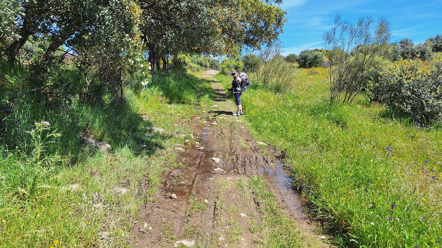 Vía de la Plata, pocsolya az úton