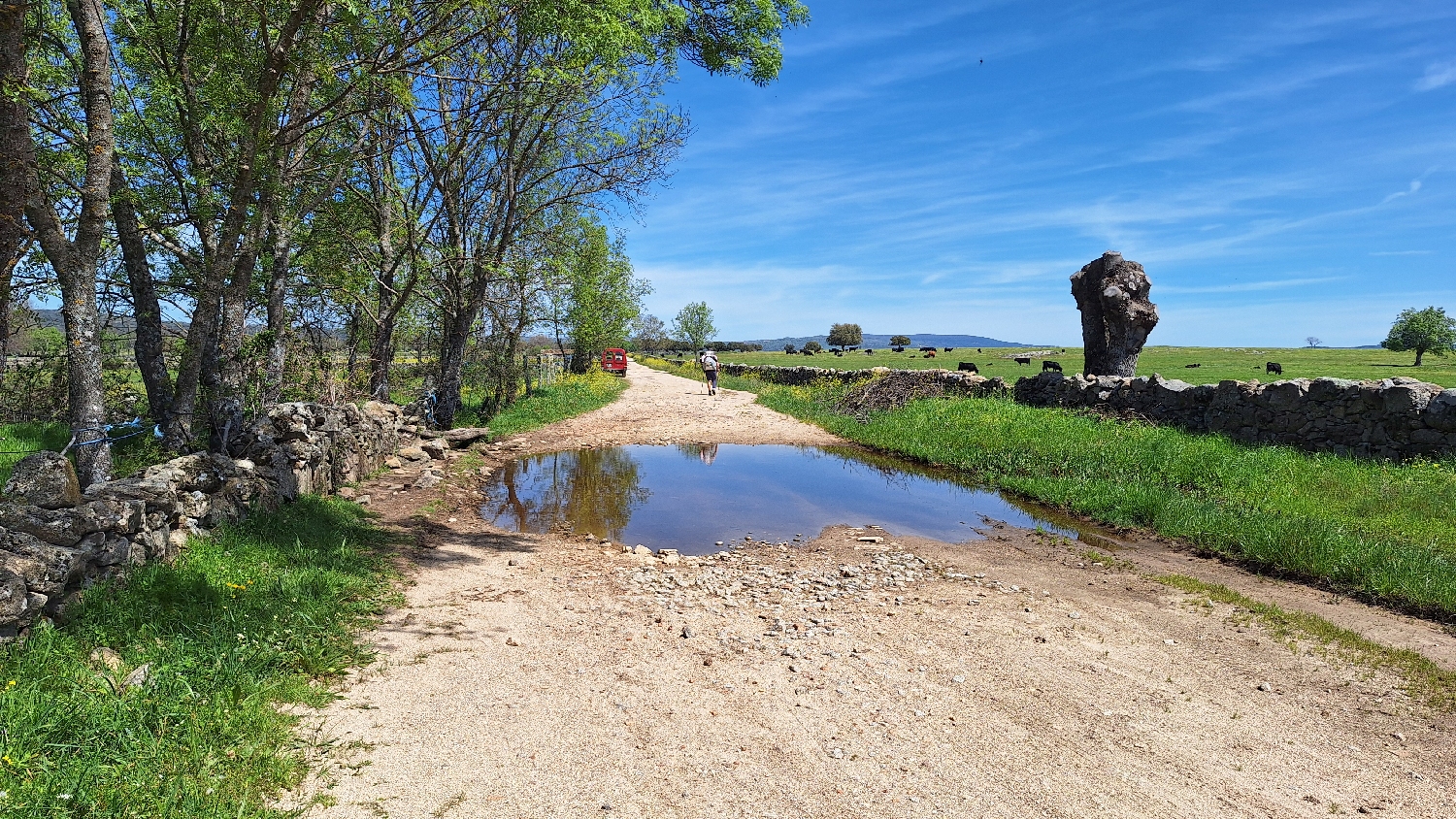 Vía de la Plata, földút a közepén megállt vízzel