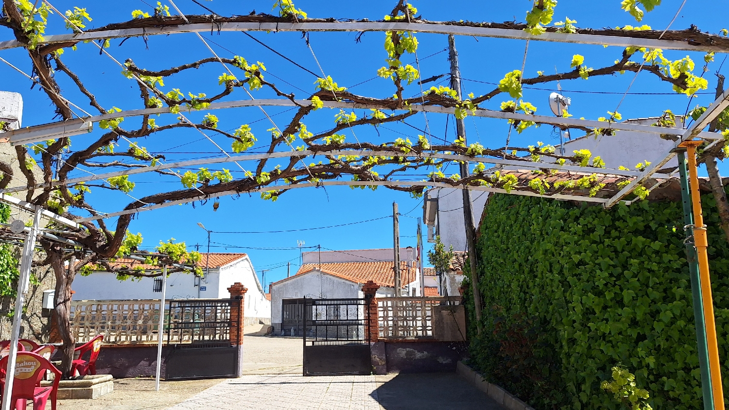 Vía de la Plata, lugas az étterem terasza felett