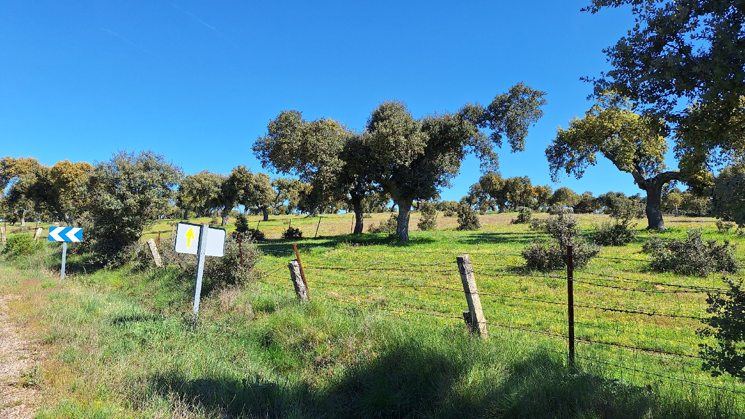 Vía de la Plata, az utolsó dehesák egyike