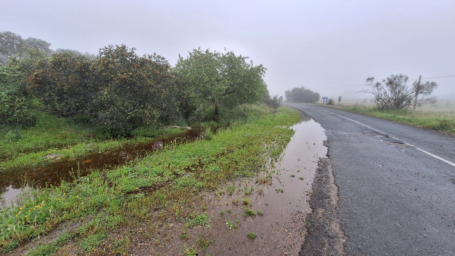 Vía de la Plata, országút és a hatalmas tócsa