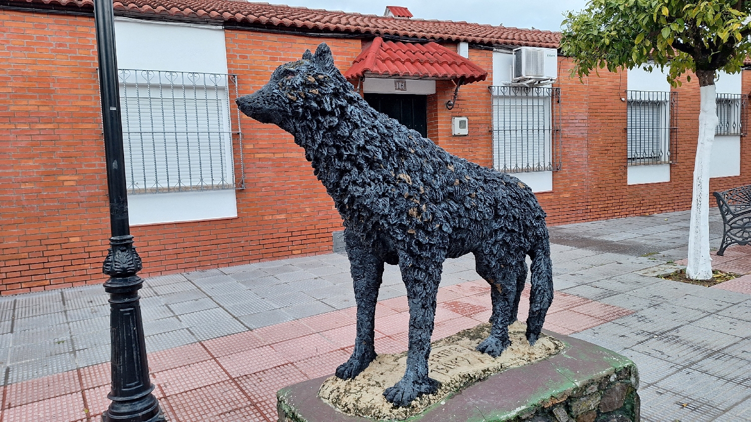 Vía de la Plata, El Real de la Jara, egy farkas vagy valami ilyesmi...