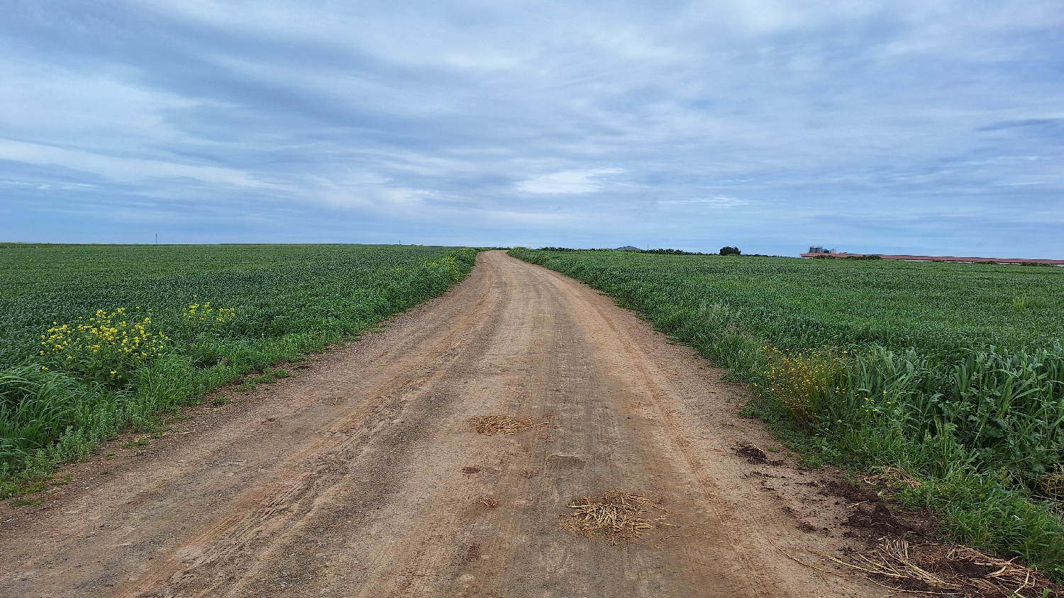 Vía de la Plata, az eredeti nyomvonalon, végre földúton gyalogolva