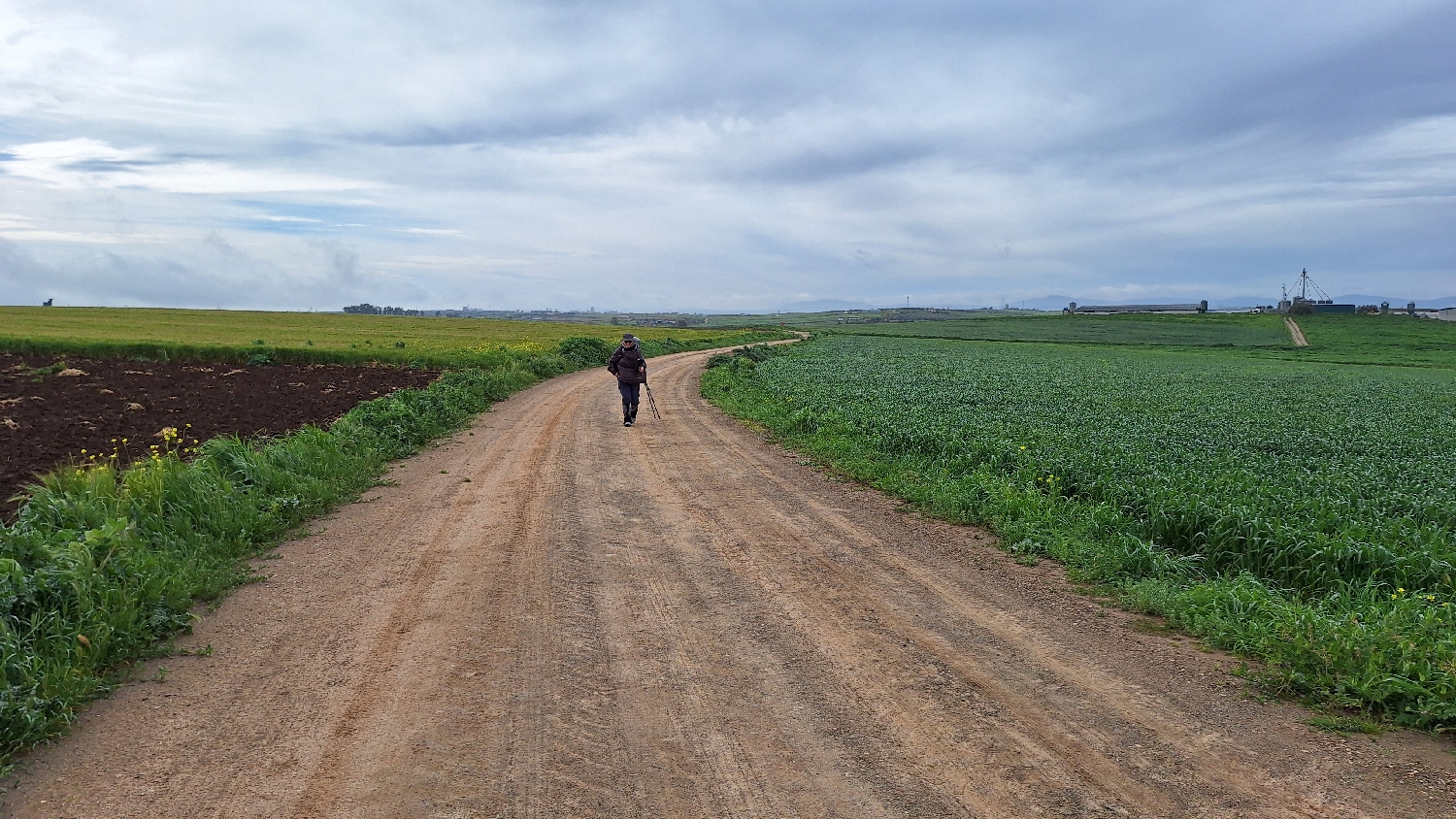 Vía de la Plata, az eredeti nyomvonalon, végre földúton gyalogolva