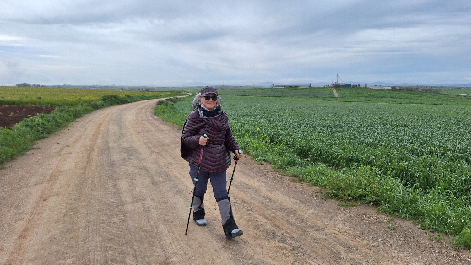 Vía de la Plata, az eredeti nyomvonalon, végre földúton gyalogolva, Rózsa