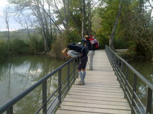 Logrono park.jpg