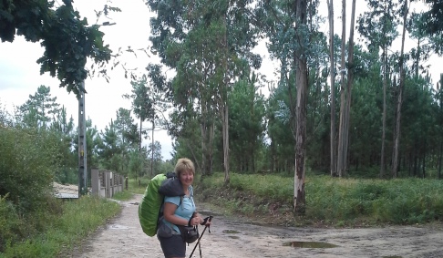 2_portugal_camino.jpg