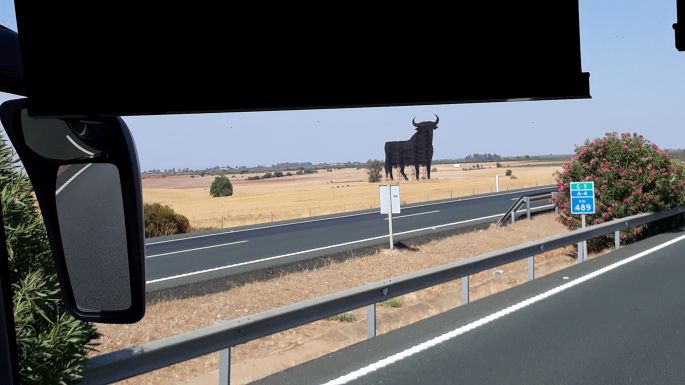 Andalúz körutazás, Alsa busszal mentünk Córdobába, balra egy bika